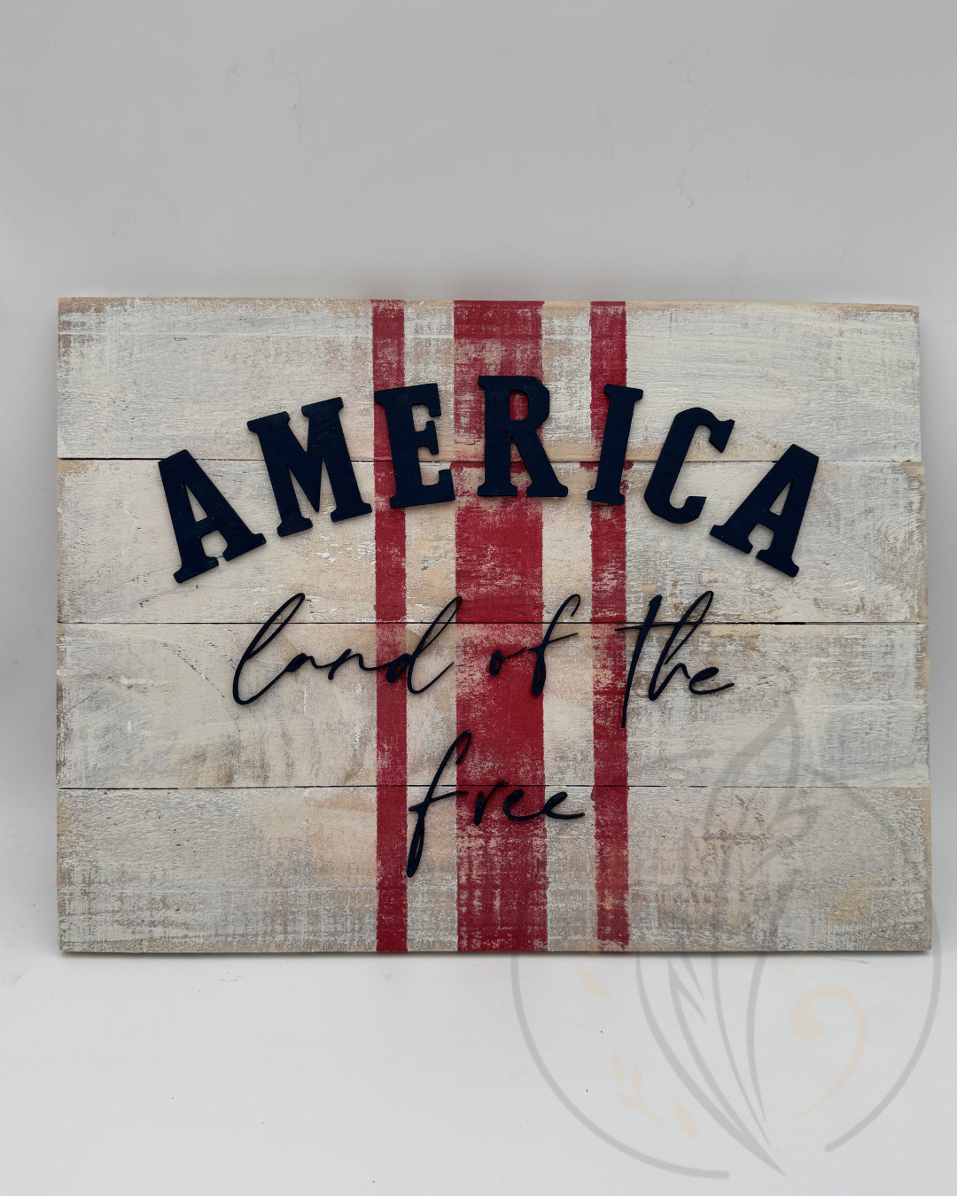 America - Land of the Free