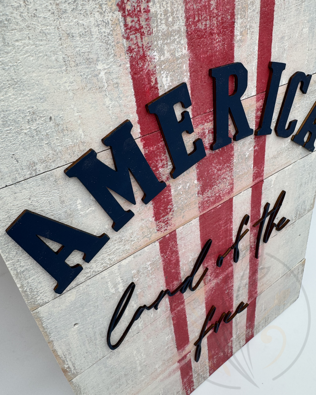 America - Land of the Free