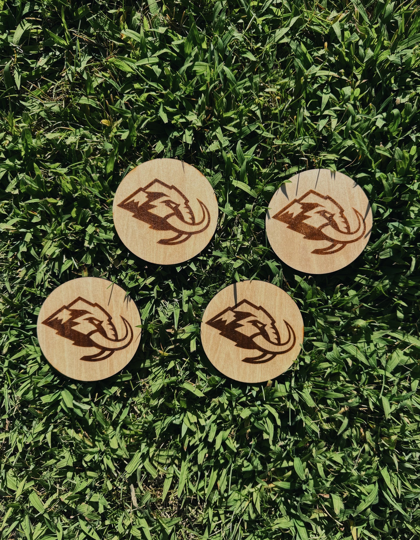 Coasters
