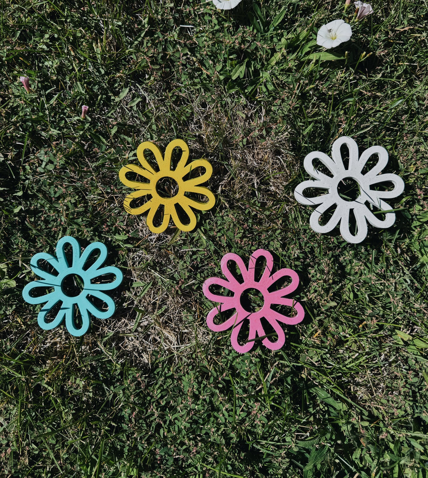 Coasters