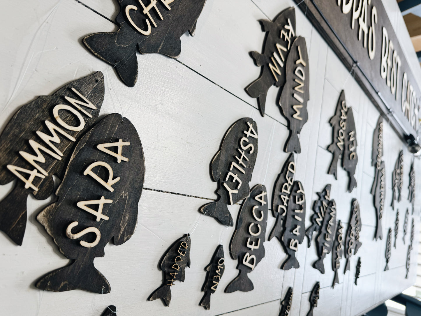 Family of Fish