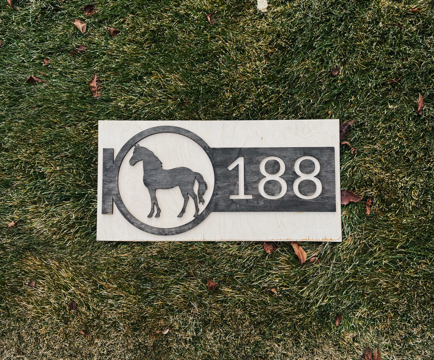 Custom Personal Sign Consultation