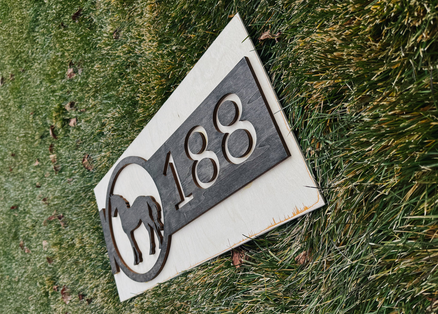 Custom Personal Sign Consultation