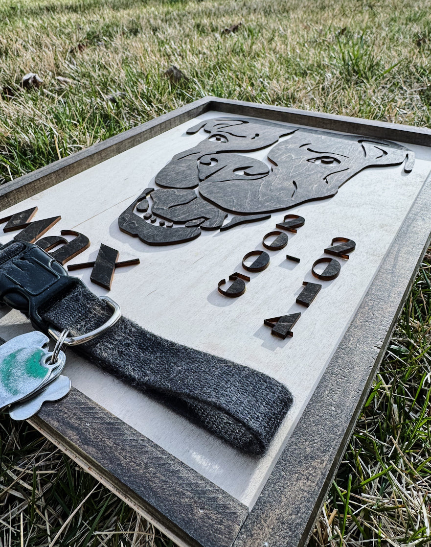 In Loving Memory - Pet Edition